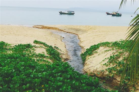 陵水英州镇土福湾福海路尽头处排向大海的污水沟，在沙滩上留下了一条黑色的沟壑。本报记者 肖开刚 摄