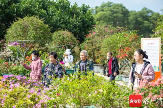 市民游客打卡海口三角梅共享农庄。海口市旅文局供图