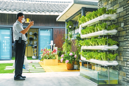 博鳌东屿岛文化公园南繁展区：鱼菜共生 低碳和谐