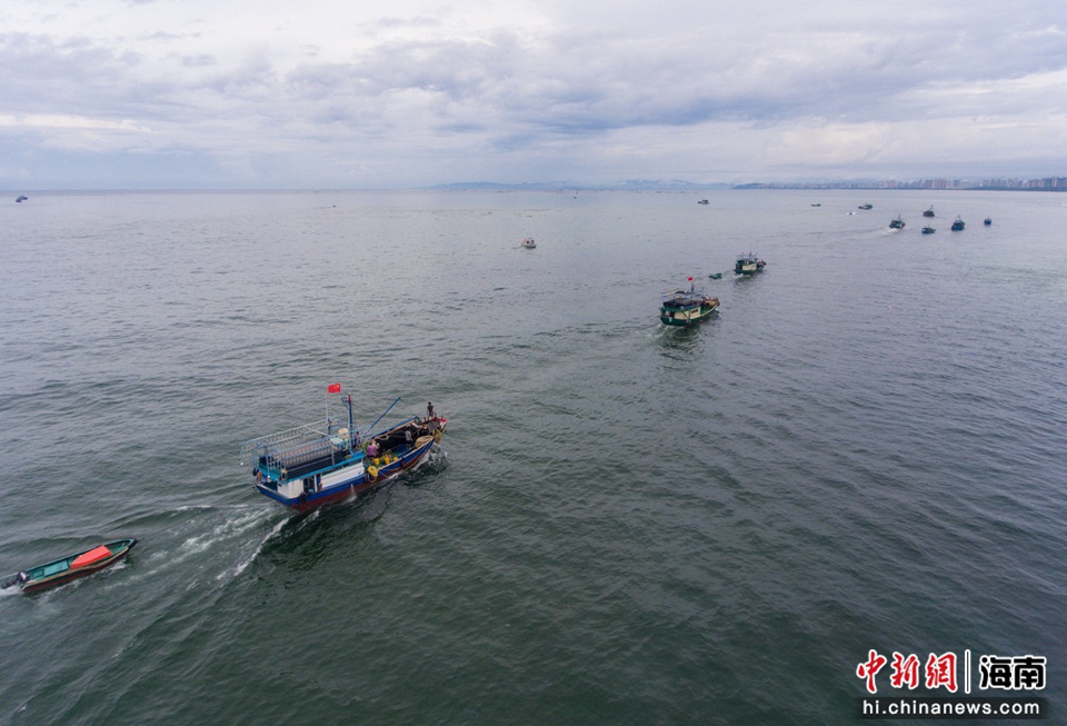 图为航拍海南陵水新村镇的渔船陆续出海牧渔。骆云飞摄