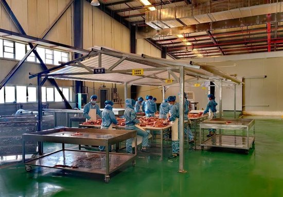 在海南红焱食品有限公司厂房内，工人们正在学牛肉分解。新华社记者吴茂辉 摄