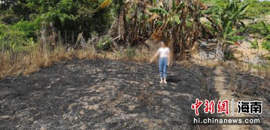 村民在田地使用打火机焚烧杂草，引燃了旁边香蕉树，火势被及时控制并扑灭，未造成人员伤亡。 警方供图