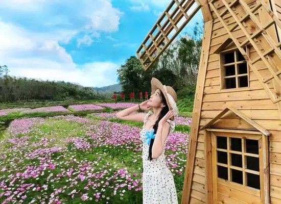 游客在兰洋镇南罗村稻田研学基地拍照打卡。