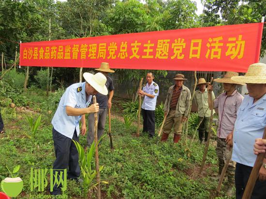 白沙县食药监局2018年10月19日开展主题党日活动到南刚村与贫困户种槟榔