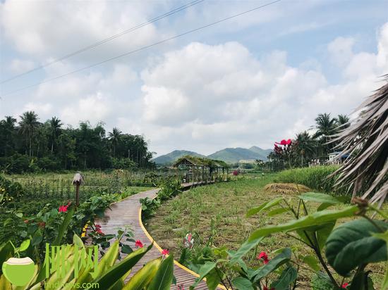 三亚将完善92个行政村的旅游基础设施