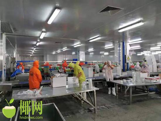 企业复工缺人手?海口美兰区人社局:安排!