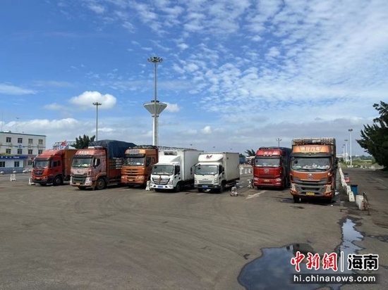 图为海南铁路轮渡北港内待渡车辆。吴超供图