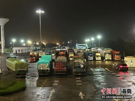 图为海南铁路轮渡北港内待渡车辆。吴超供图