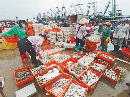 新盈镇的一名女子在销售鱼获。海南日报记者 李豌 摄
