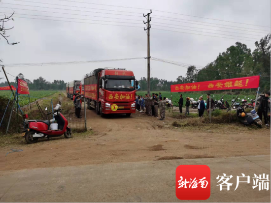 三辆大货车满载瓜菜开往西安。