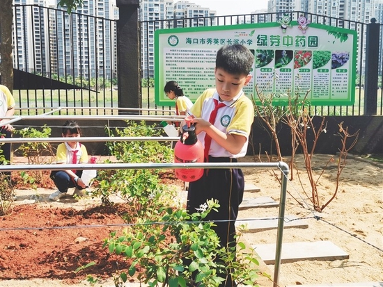 长滨小学学生给金银花浇水。学校供图