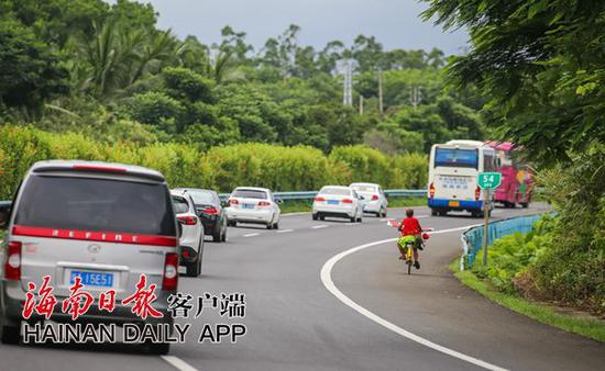 男子在高速路上骑共享单车。海南日报记者袁琛摄