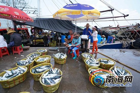 王彦予在码头和鱼老大讨价还价,她想尽量降低成本。海报集团全媒体中心记者 王凯 摄