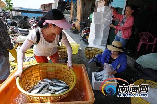 她们用勤劳的双手,实现着梦想。海报集团全媒体中心记者 王凯 摄