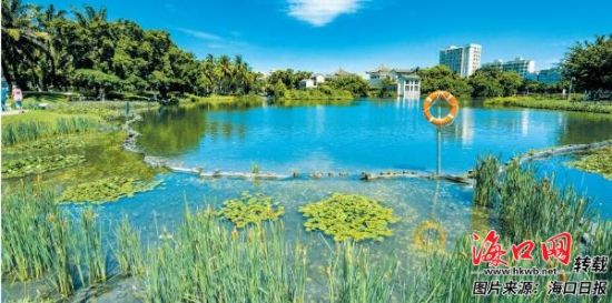 经过升级改造后的海口三角池公园环境优美,景色亮丽,成为不少市民游客休闲散步好去处。 记者 康登淋 摄