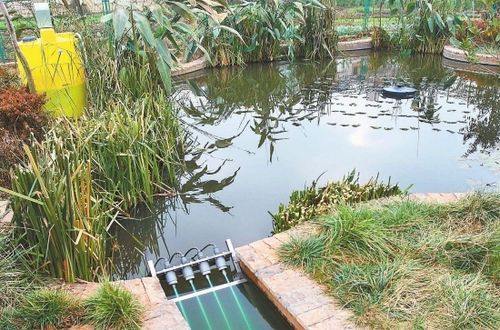 海南2022年完成2441个自然村农村生活污水治理