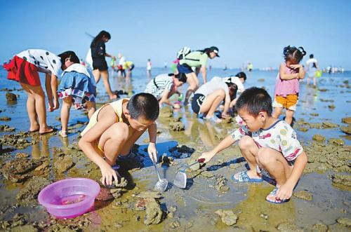 游客在琼海潭门拾贝抓蟹 体验赶海