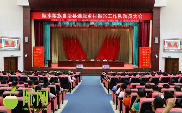 陵水召开选派乡村振兴工作队动员大会