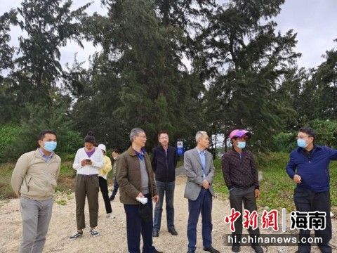 图为2022年12月16日,专家们在临高县东英镇扶堤东村实地考察。海南省苏学研究会供图