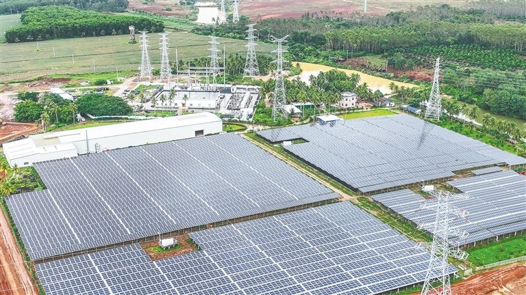 11月22日，在海口市琼山区甲子镇乡村振兴蚯蚓养殖示范基地