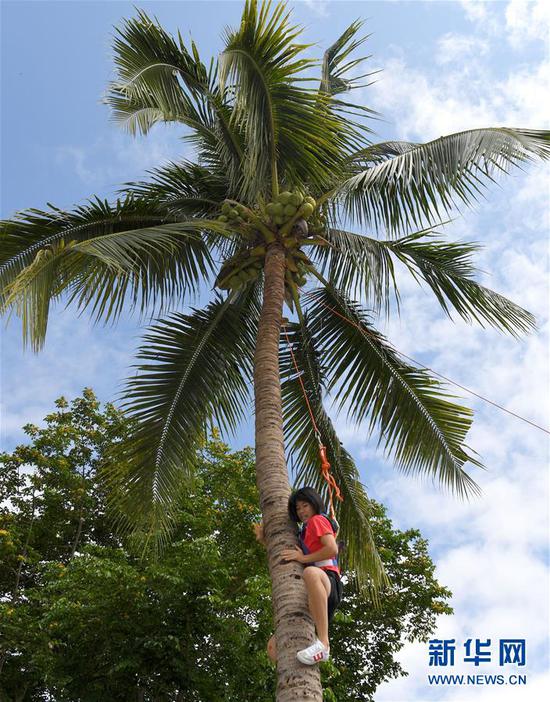 4月19日，参加活动的人员在进行爬椰子树比赛。新华社记者赵颖全摄