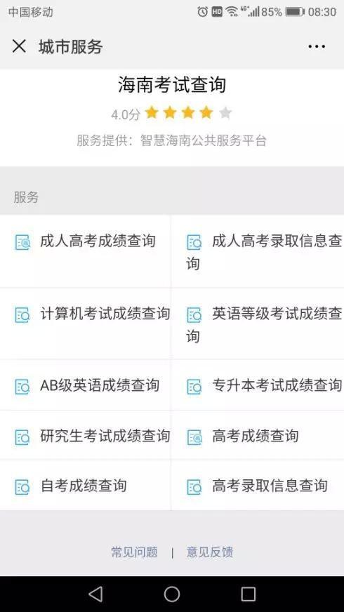 （七）中国政务服务平台查询