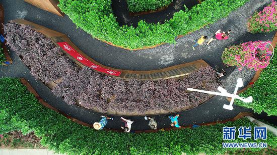 无人机航拍图腾迷宫。新华网黎多江 摄