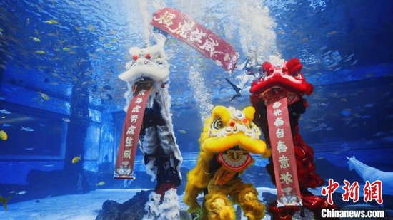 三亚海昌梦幻不夜城公园,水底舞狮迎新年。 王媛媛供图
