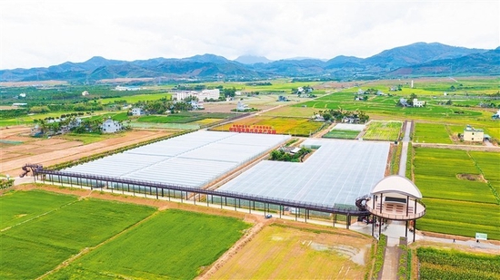  国家现代农业（种业）产业园农作物新品种新技术田间展示推广中心
