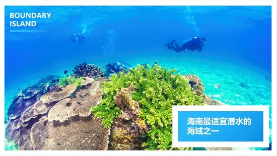 图源：分界洲岛旅游区