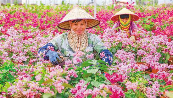 迳脑乡人口_辽宁北票哈尔脑乡:按下乡镇(街)经济发展“加速键”