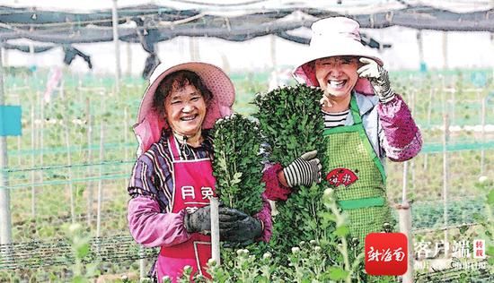 海南脱贫攻坚成效显著，群众幸福感持续增强。图为部分市县脱贫致富群众群像。