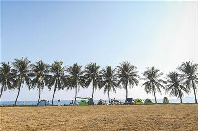 2月10日，万宁日月湾，游客在海边搭帐篷休息。本版图片均由本报记者 袁琛 摄