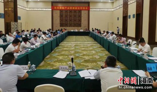 5月20日，海南省交通运输厅在三亚组织召开海南游艇产业发展政企对接会。来源：海南省交通运输厅 