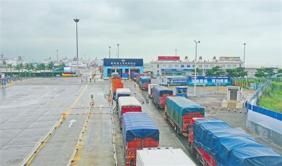 在海口新海港,货车有序排队过安检。 海报集团全媒体中心记者 汪承贤 摄