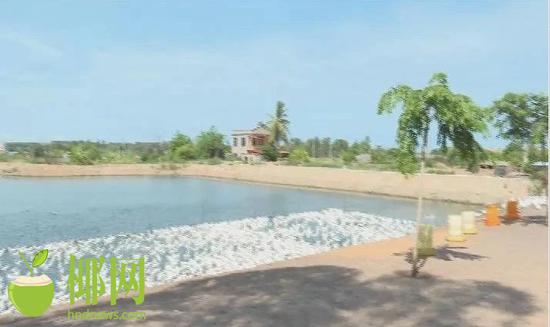 八所镇GDP_杏坛镇gdp数据图