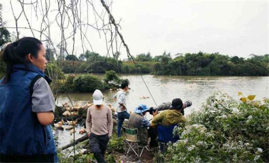 2019年1月14日，慕名而来的摄影爱好者及市民在定文村湿地的鱼塘等待拍摄、观赏白鹈鹕。
