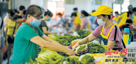  北胜农贸市场定点菜篮子工作人员正在摆放新鲜的蔬菜。海口日报记者康登淋 摄