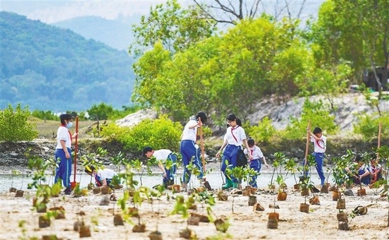 3月12日，在三亚市铁炉港红树林自然保护区内的一处退塘还林地块，该市多名小学生在滩涂上种植红树。