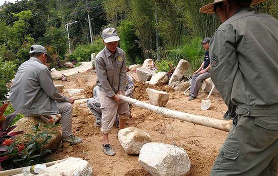 海南毛瑞林场职工抬石修建花园式林场