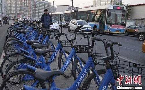 资料图：北京街头的小蓝单车。中新社记者 贾天勇 摄