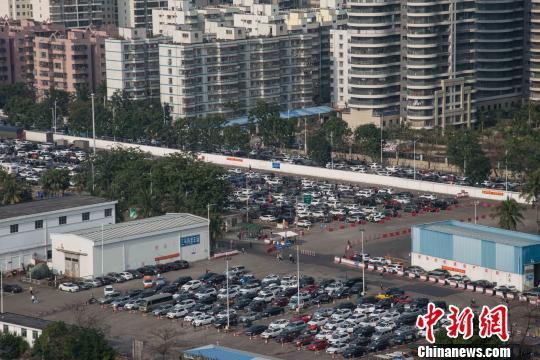 图为海口秀英港车辆积压严重。　洪坚鹏 摄