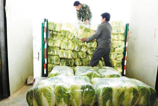 2月28日，海口菜篮子集团加工配送中心，工人们正在加紧运送蔬菜。