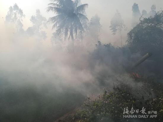 图为火灾现场引发的浓烟。海南日报记者李英挺摄