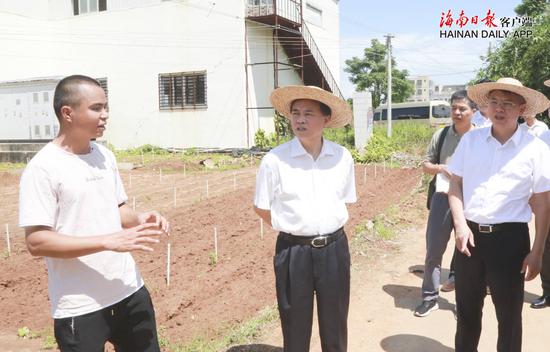 9月11日,省委书记刘赐贵来到海口市龙华区沙坡水库蔬菜种植基地,详细询问菜农生产情况和需求,调研“菜篮子”保供稳价工作。海南日报记者李英挺 摄