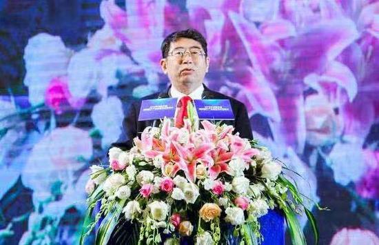 海南省政府副省长王路致辞