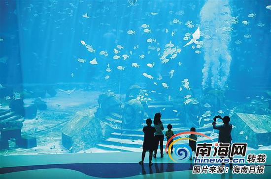 三亚顶级酒店——亚特兰蒂斯酒店，游客驻足观赏水族馆中的海洋生物。本报记者张茂摄