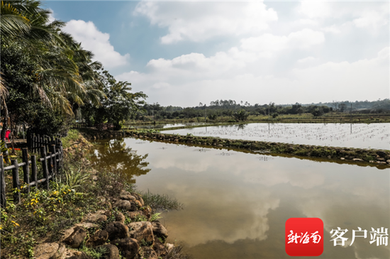 海口美贴村。记者 李昊 摄