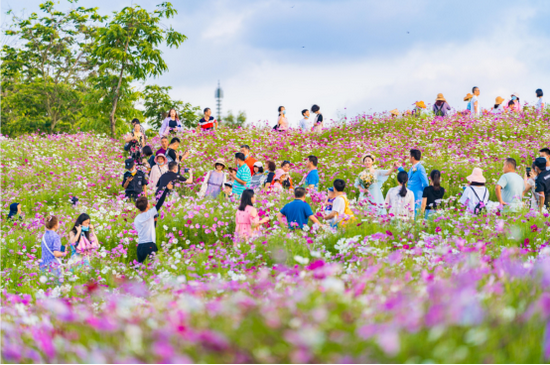 海花岛珍奇特色植物园