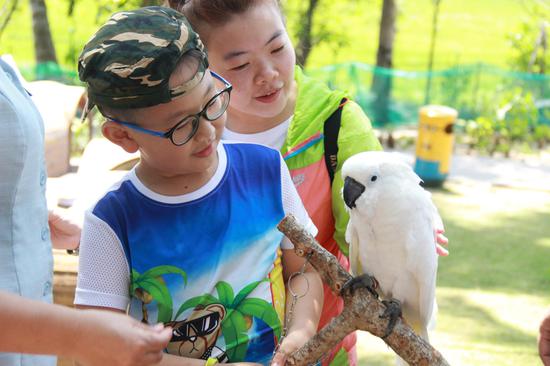 孩子与动物亲近